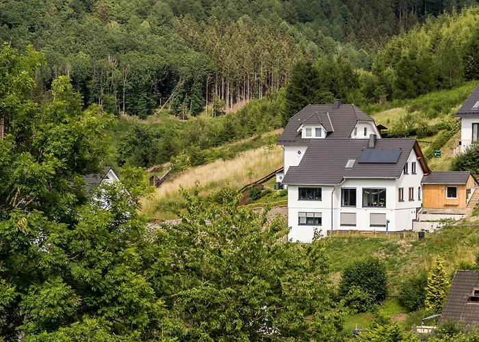 Vergissmeinnicht Sauerland 施马伦贝格